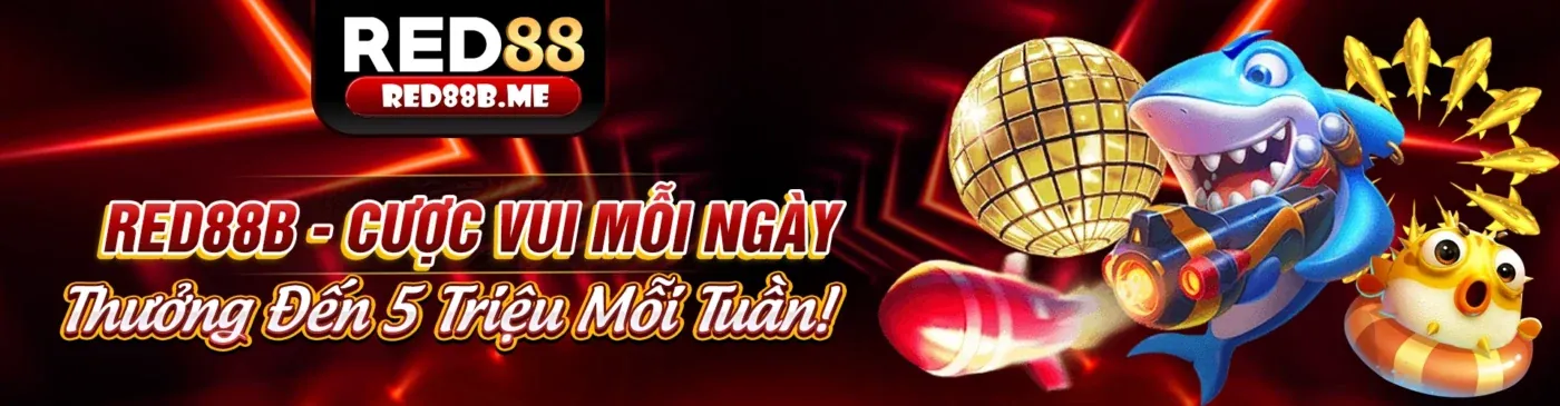 Công nghệ mã hóa SSL/TLS của bet8sguru