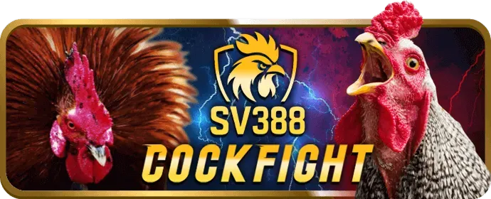 Lỗi kết nối mạng bet8sguru