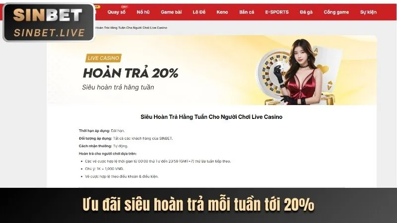 Chương trình VIP độc quyền bet8sguru